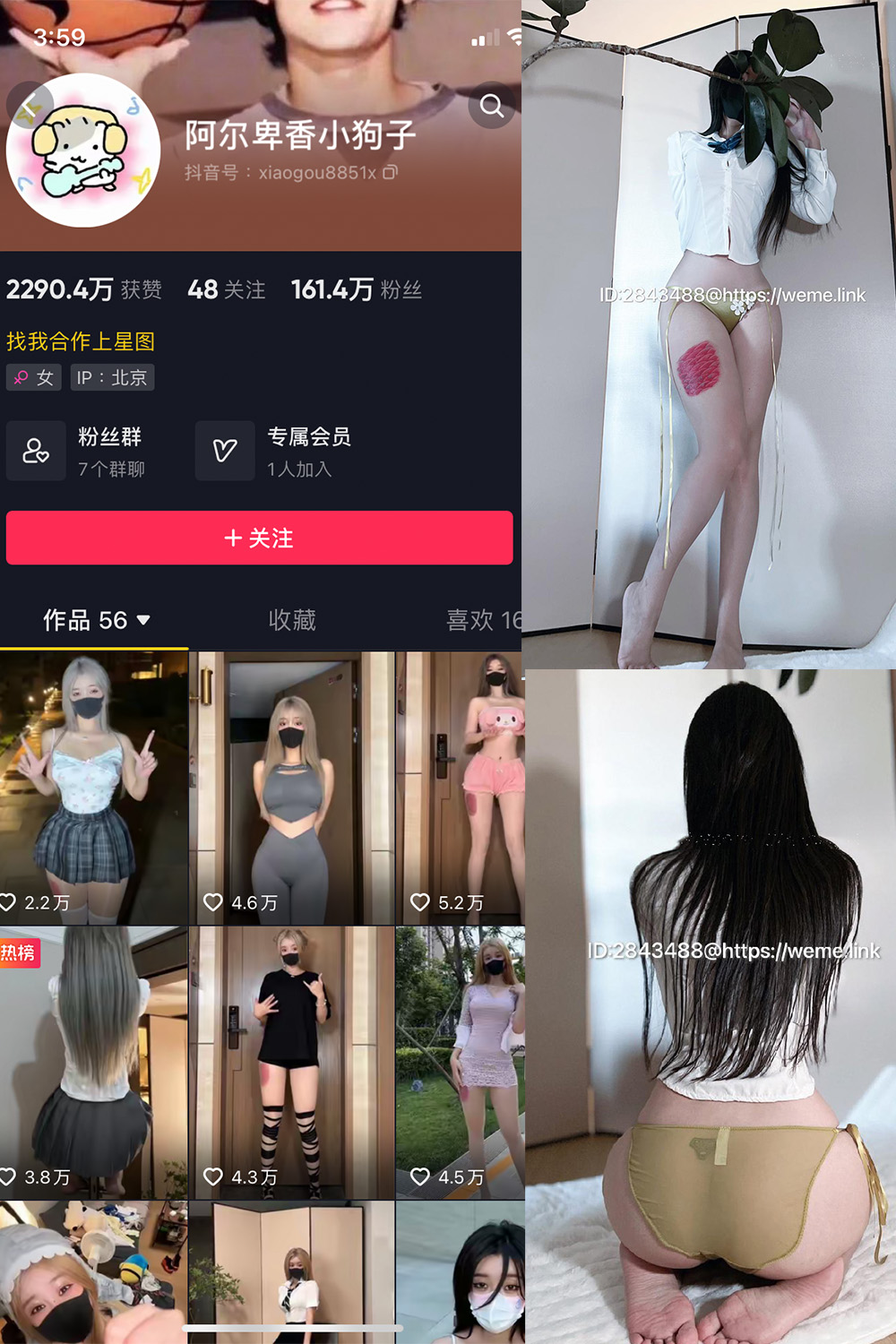 阿尔卑香小狗子 微密圈 NO.047期 更新日期：2024.6.10
