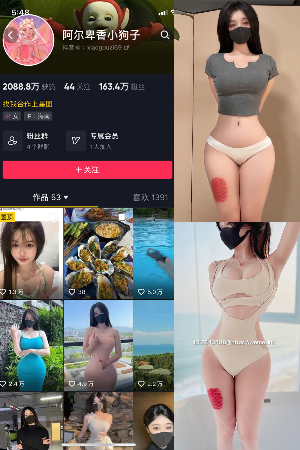 阿尔卑香小狗子 微密圈 NO.012期 更新日期：2023.7.29