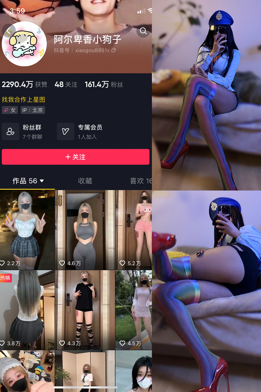 阿尔卑香小狗子 微密圈 NO.001-031期 更新日期：2023.10.11