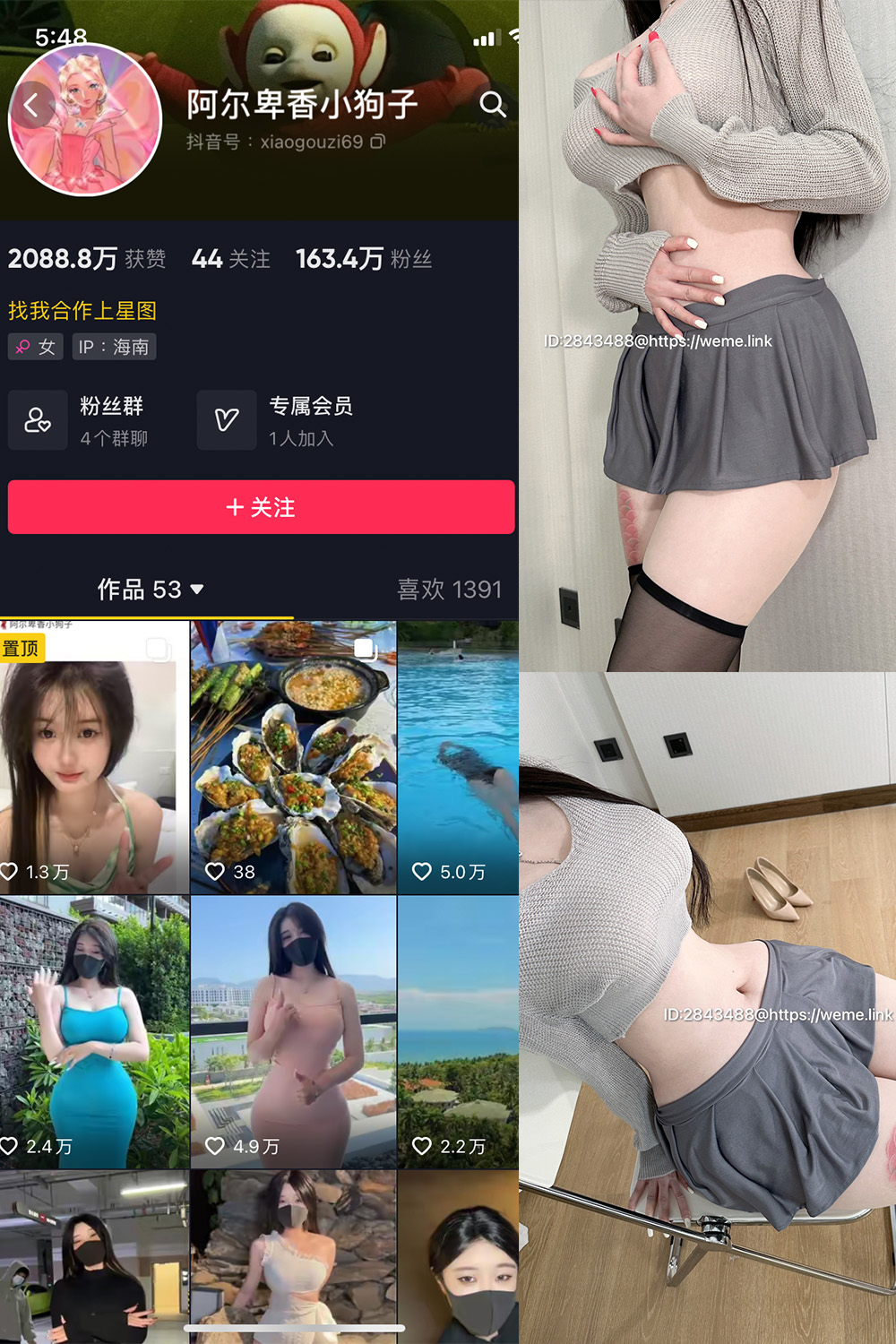阿尔卑香小狗子 微密圈  NO.001期