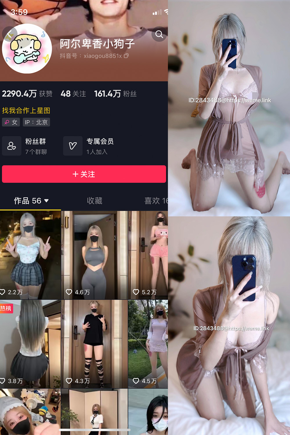 阿尔卑香小狗子 微密圈 NO.045期 更新日期：2026.6.9