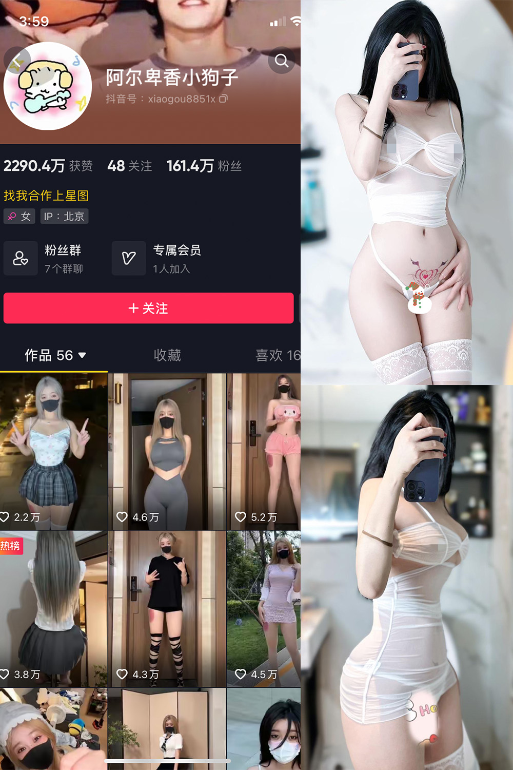 阿尔卑香小狗子 微密圈 NO.051期 更新日期：2024.7.1