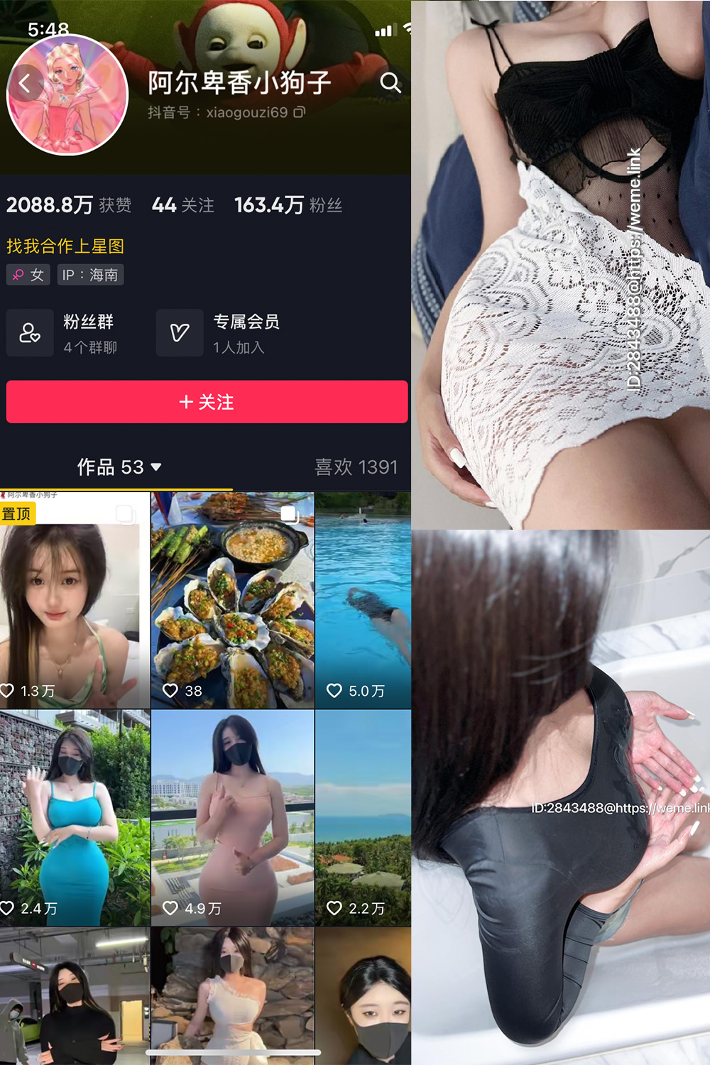 阿尔卑香小狗子 微密圈 NO.011期 更新日期：2023.7.6