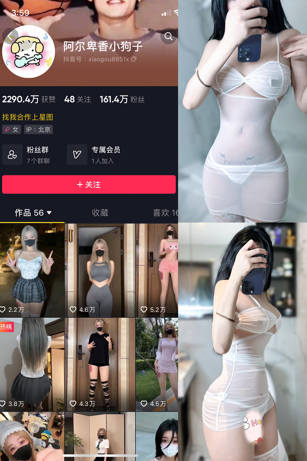 阿尔卑香小狗子 微密圈 NO.028期 更新日期：2023.10.1