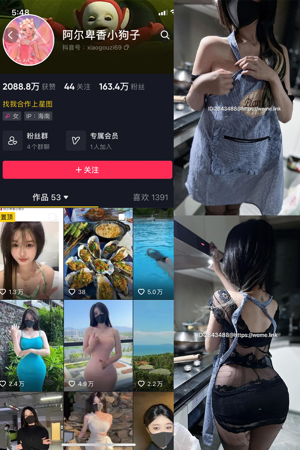阿尔卑香小狗子 微密圈 NO.009期 更新日期：2023.6.16