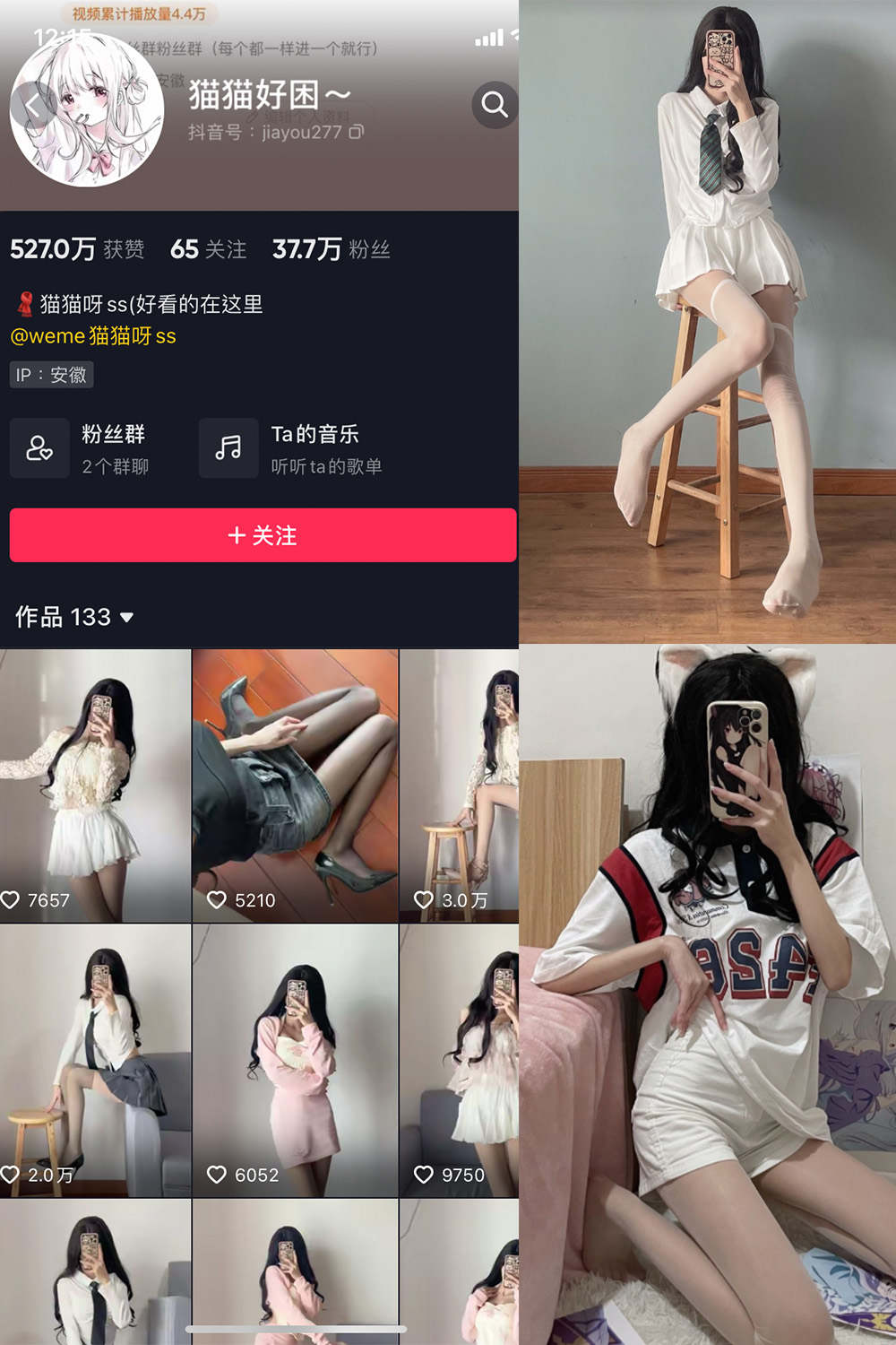 猫猫好困 微密圈  NO.001期
