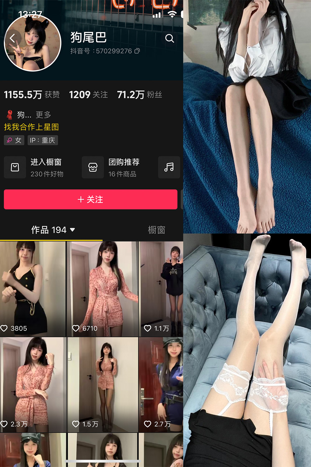 狗尾巴叶 微密圈 NO.003期 更新日期：2023.12.12