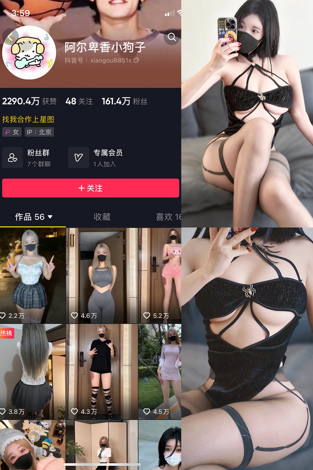 阿尔卑香小狗子 微密圈 NO.019期 更新日期：2023.8.21