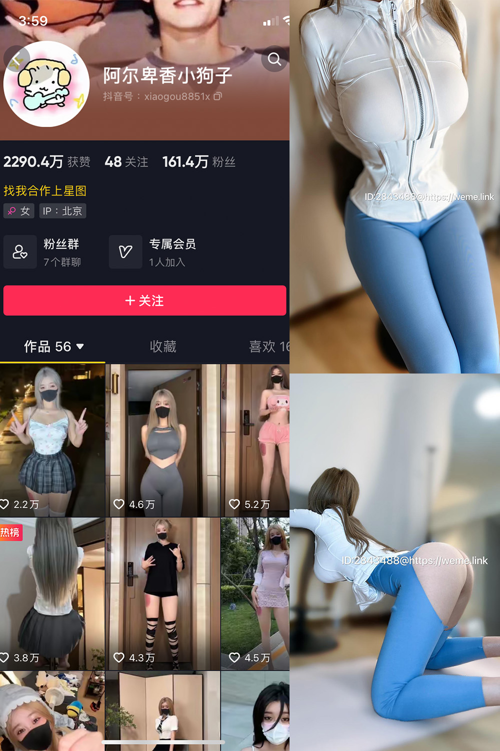 阿尔卑香小狗子 微密圈  NO.017期