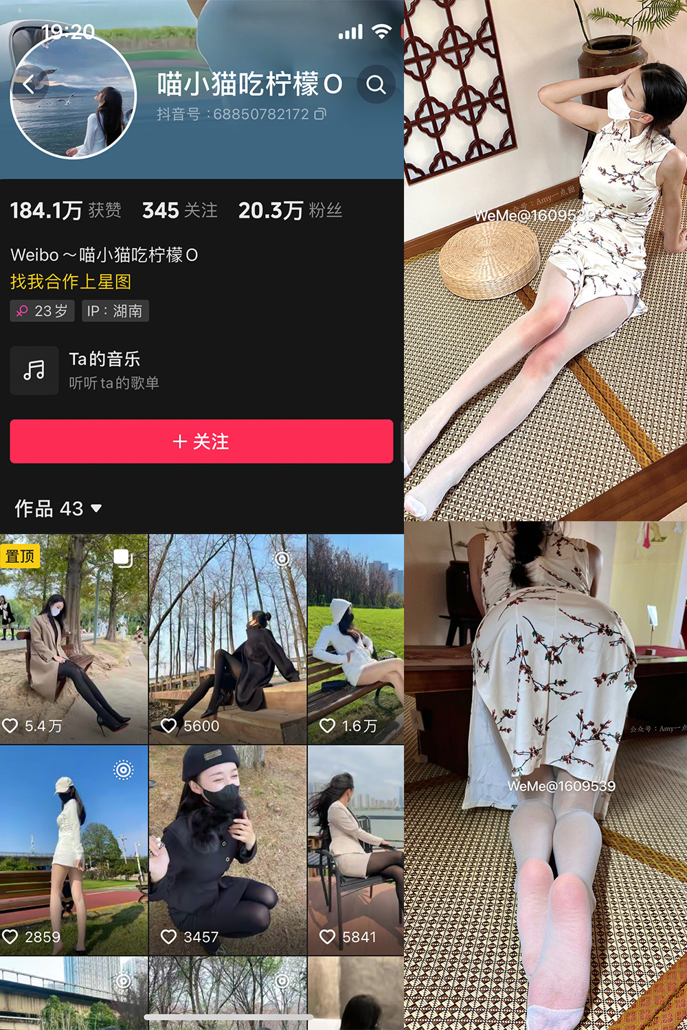 喵小猫吃柠檬 微密圈  NO.005期