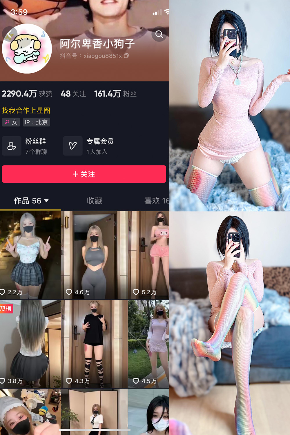 阿尔卑香小狗子 微密圈 NO.035期 更新日期：2023.10.23