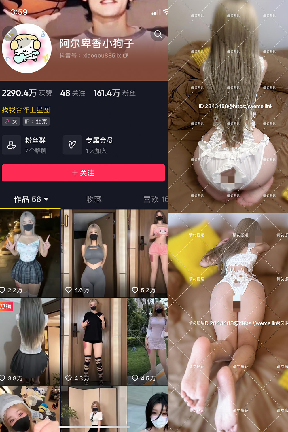阿尔卑香小狗子 微密圈 NO.054期 更新日期：2024.8.9