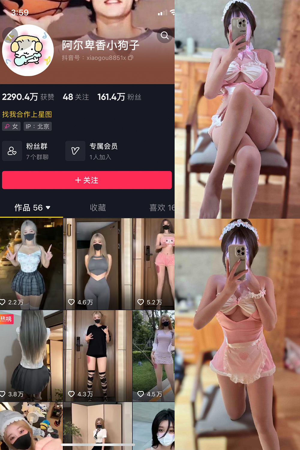 阿尔卑香小狗子 微密圈  NO.039期