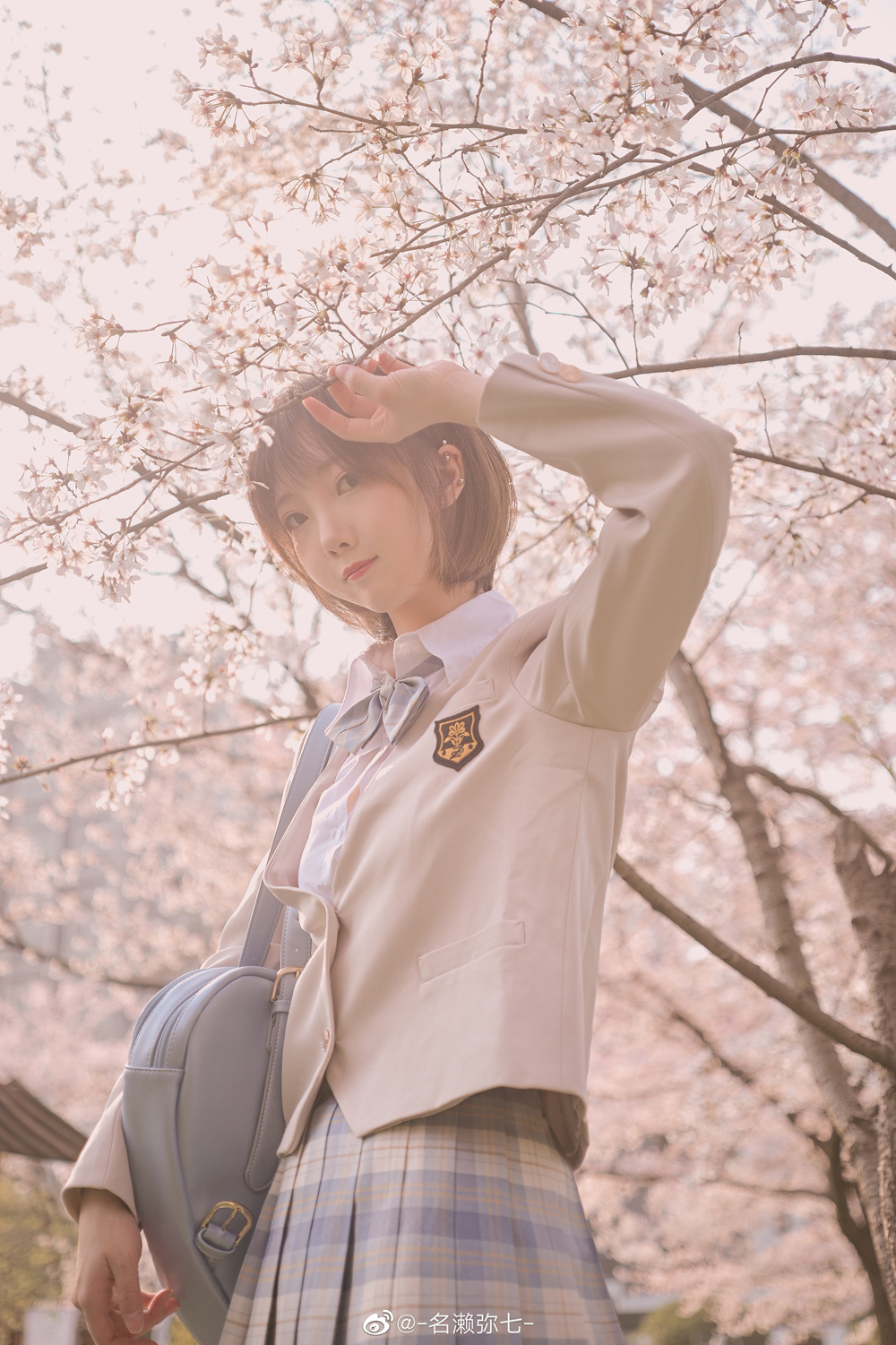 作品：名濑弥七 NO.003 樱花预览图 3