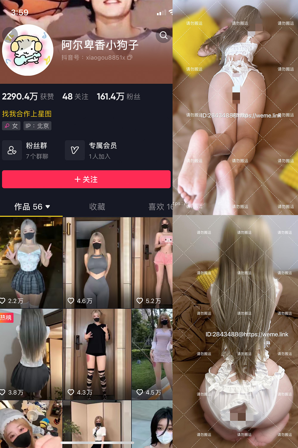 阿尔卑香小狗子 微密圈 NO.018期 更新日期：2023.8.14