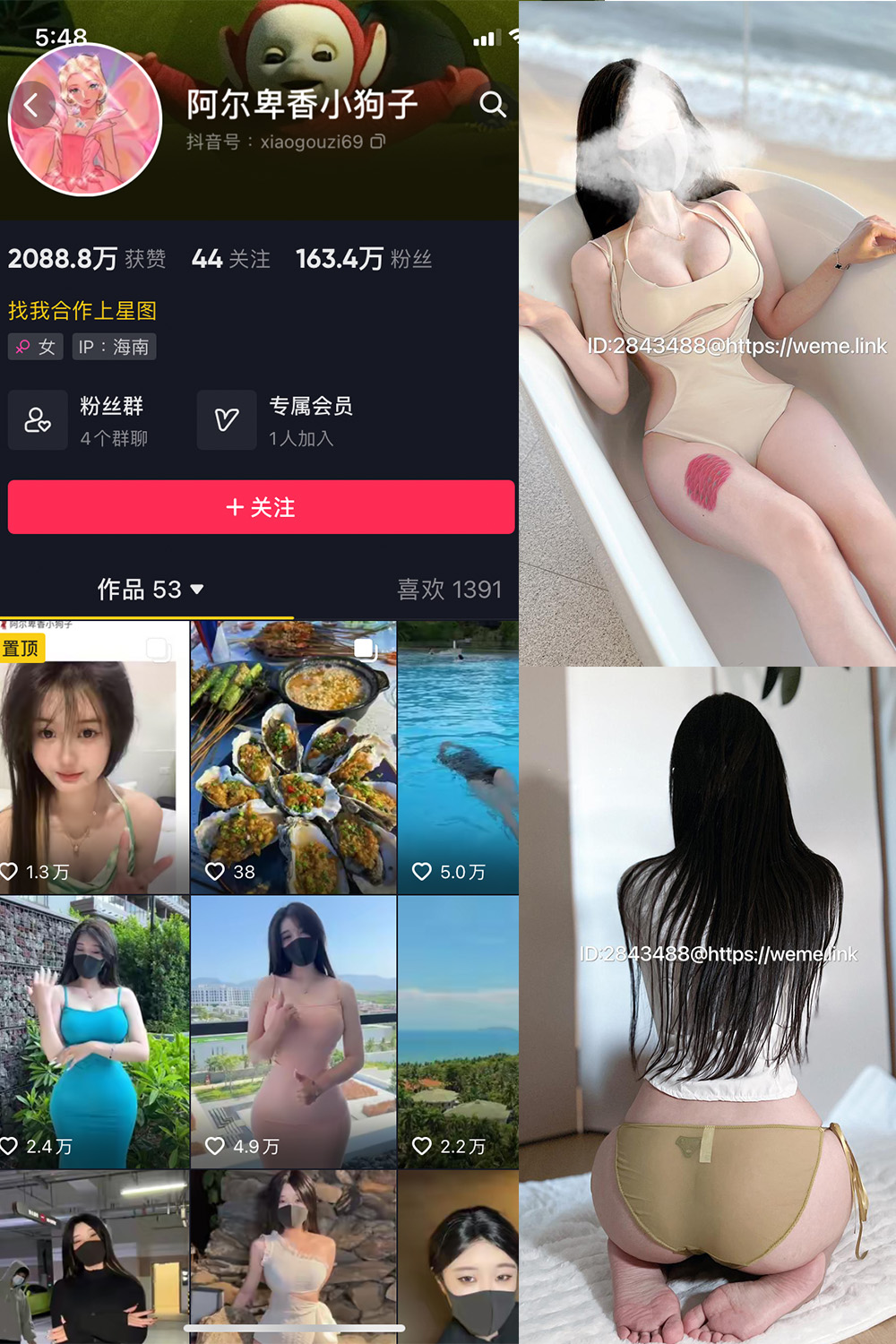 阿尔卑香小狗子 微密圈 NO.013期 更新日期：2023.7.31