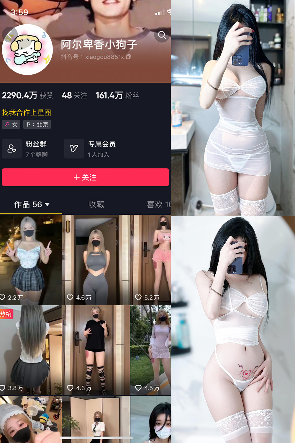 阿尔卑香小狗子 微密圈 NO.022期 更新日期：2023.9.7