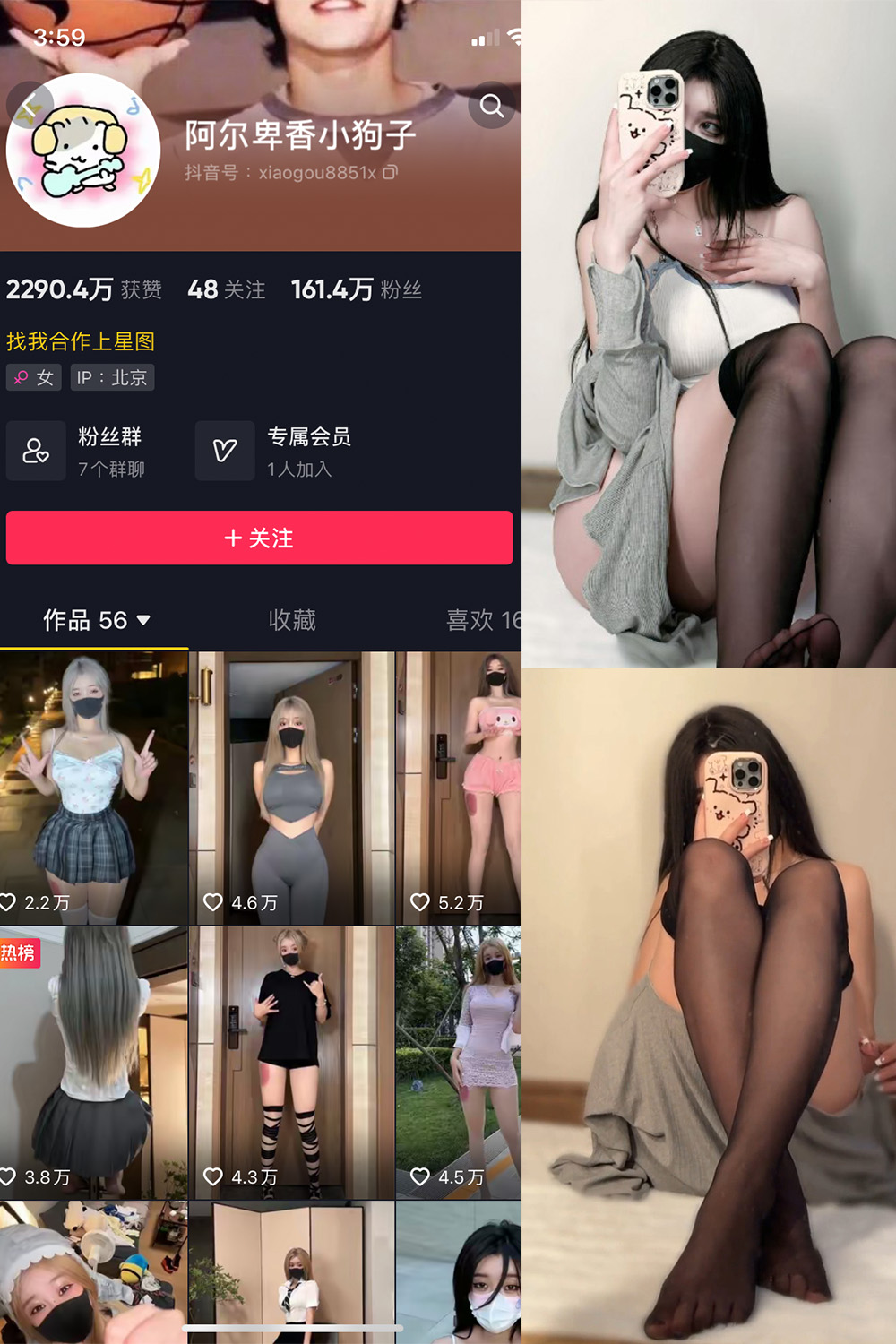 阿尔卑香小狗子 微密圈 NO.042期 更新日期：2024.1.24
