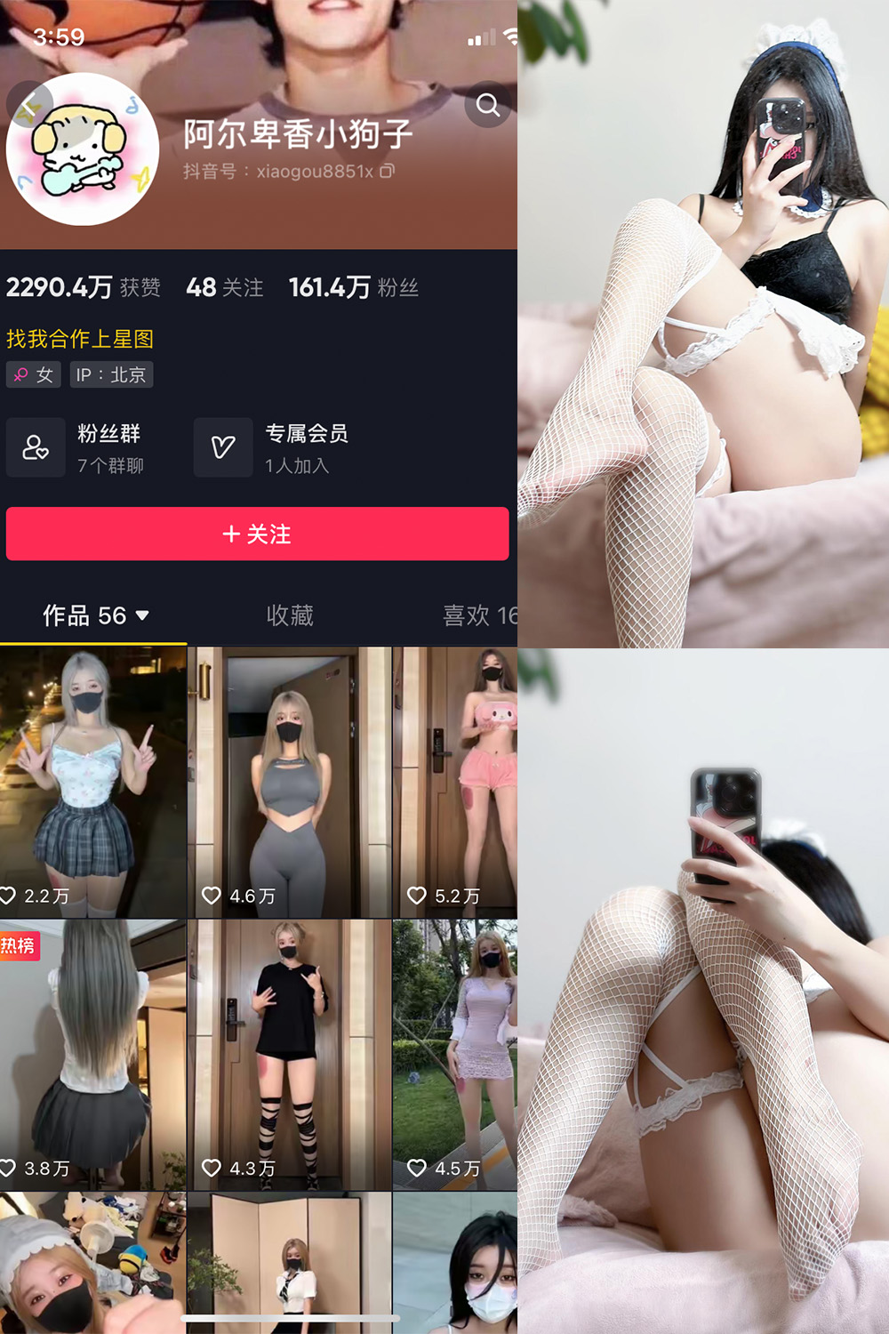 阿尔卑香小狗子 微密圈 NO.033期 更新日期：2023.10.16