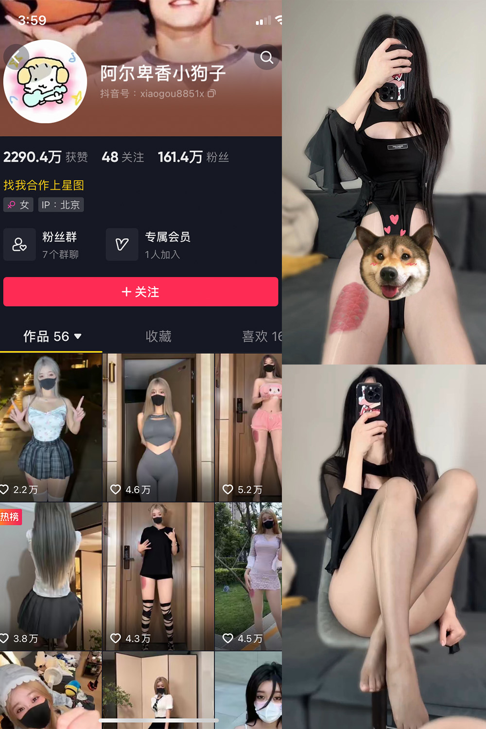 阿尔卑香小狗子 微密圈 NO.026期 更新日期：2023.9.27