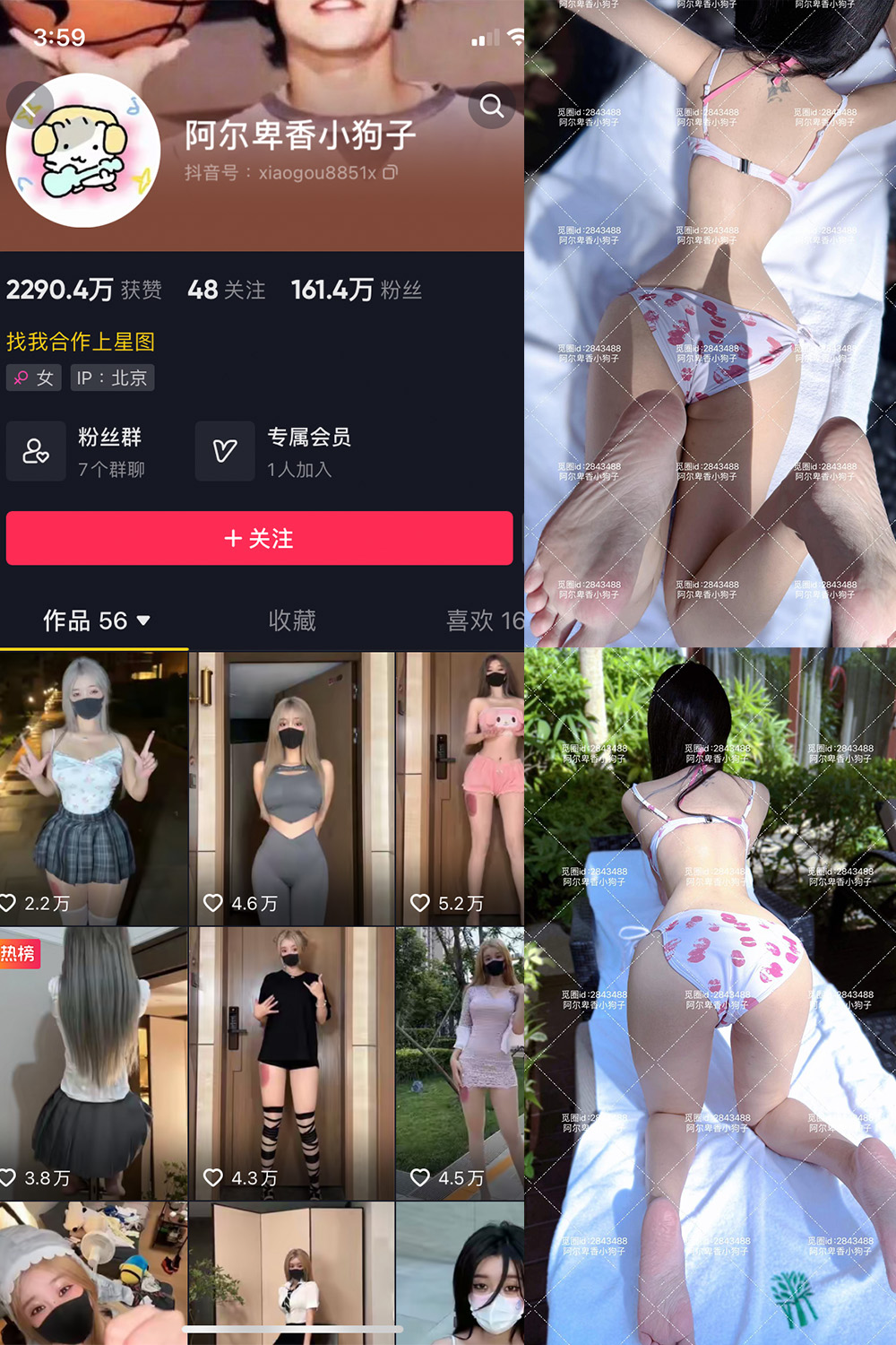 阿尔卑香小狗子 微密圈 NO.060期 更新日期：2025.2.8