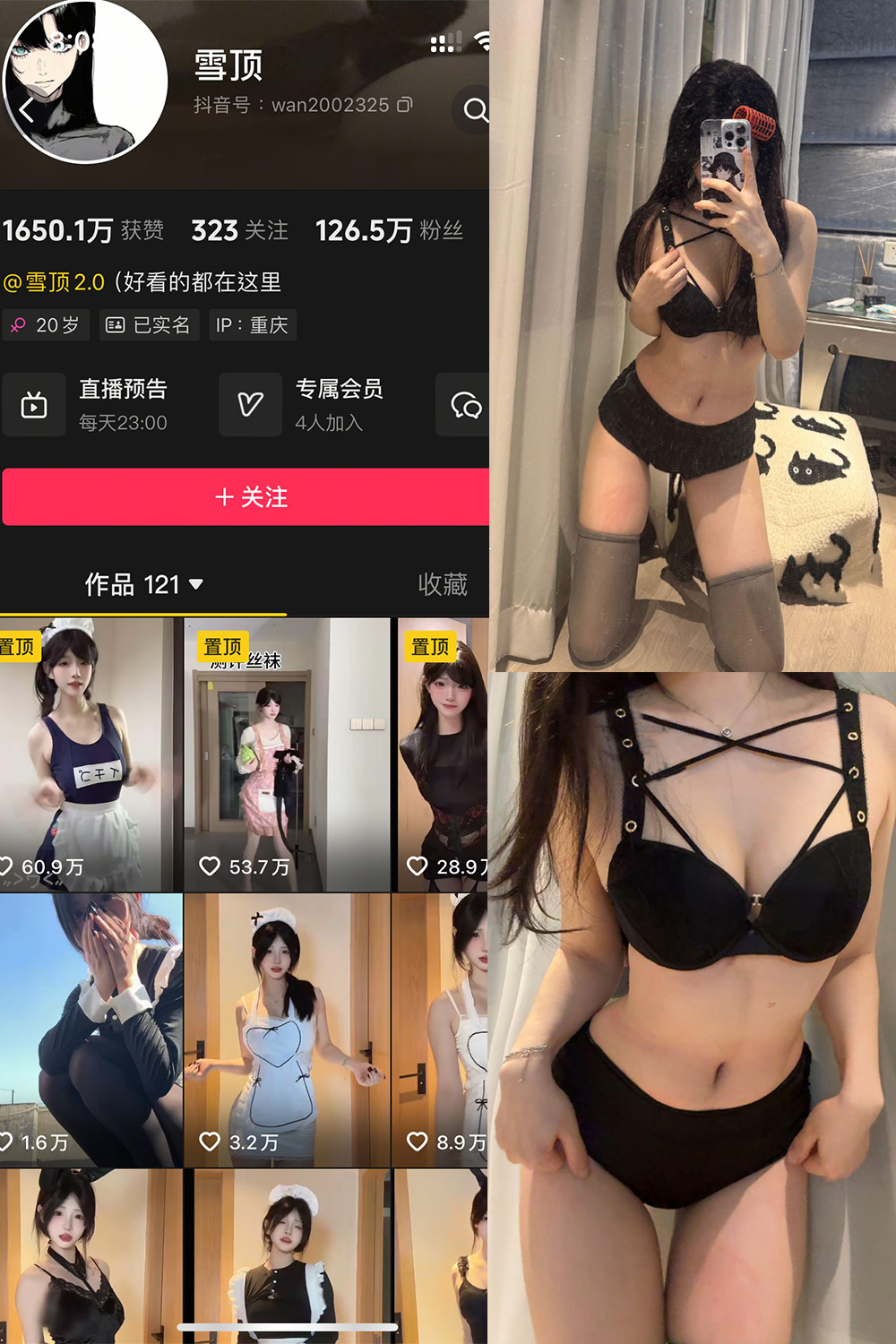 雪顶 岛遇 NO.013期 更新日期：2025.10.28