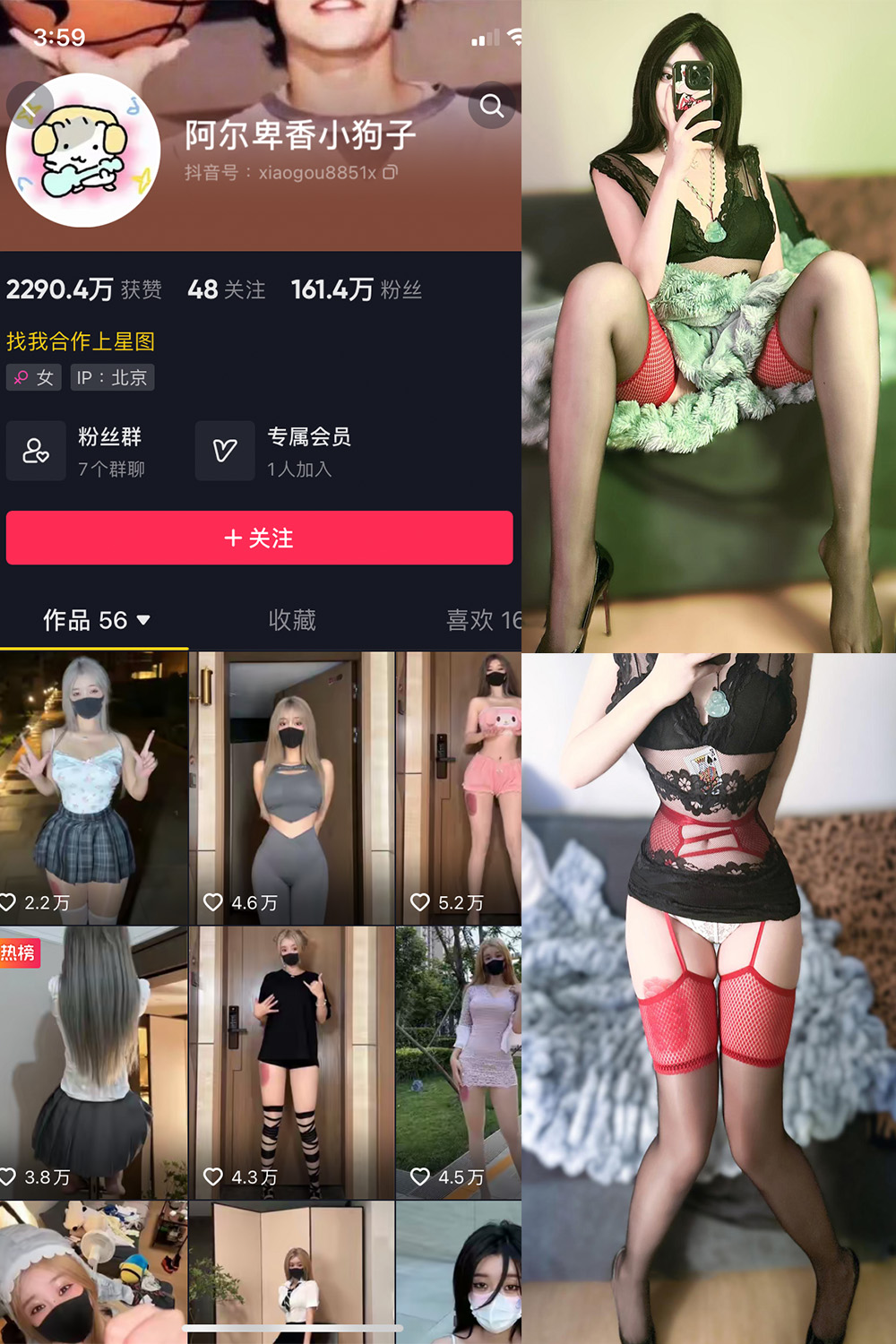作品:阿尔卑香小狗子 微密圈 NO.034期 更新日期:2023.10.23预览图 1 作品:阿尔卑香小狗子 微密圈 NO.034期 更新日期:2023.10.23预览图 1