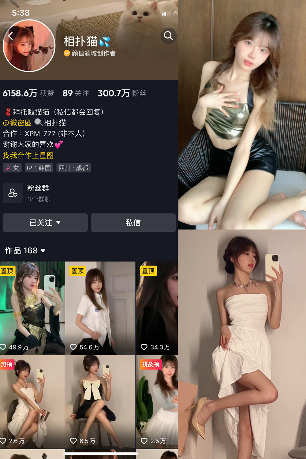 作品:相扑猫 微密圈 NO.002期预览图 1 作品:相扑猫 微密圈 NO.002期预览图 1