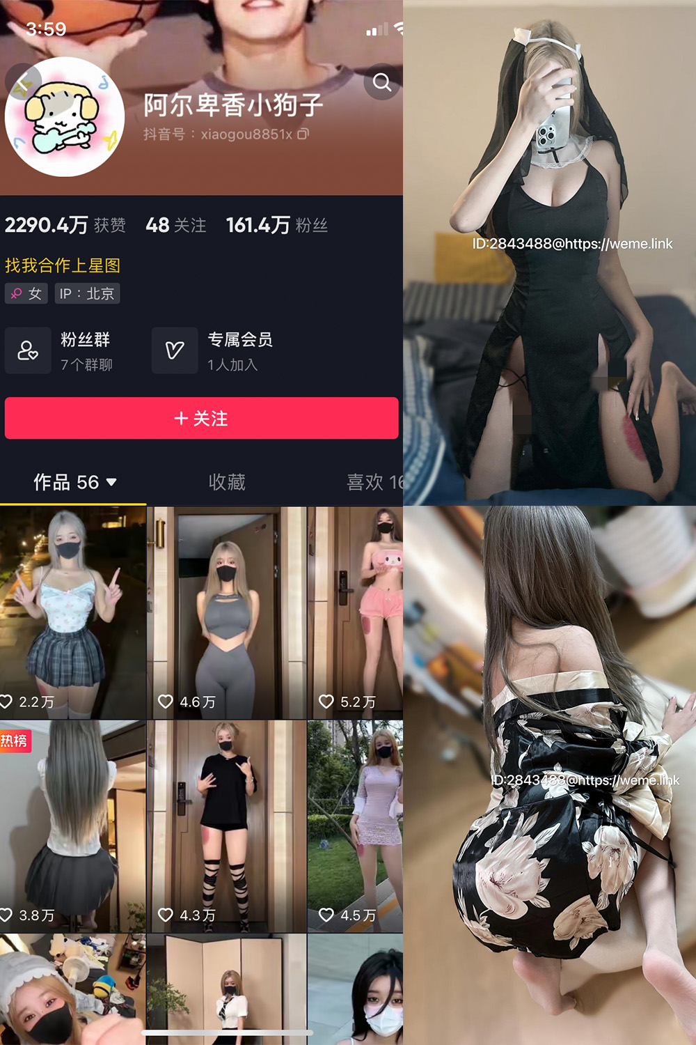 作品:阿尔卑香小狗子 微密圈 NO.014期预览图 1 作品:阿尔卑香小狗子 微密圈 NO.014期预览图 1