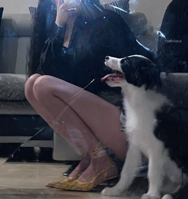 作品:恩沈一点 铁粉空间 NO.004期 更新日期:2024.10.19预览图 32 作品:恩沈一点 铁粉空间 NO.004期 更新日期:2024.10.19预览图 32