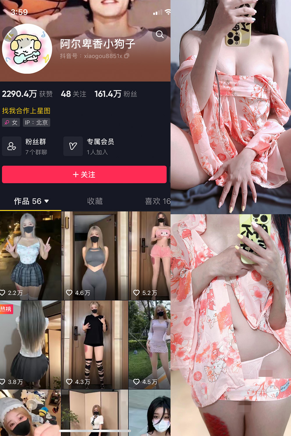 作品：阿尔卑香小狗子 微密圈 NO.052期 更新日期：2024.7.11预览图 1