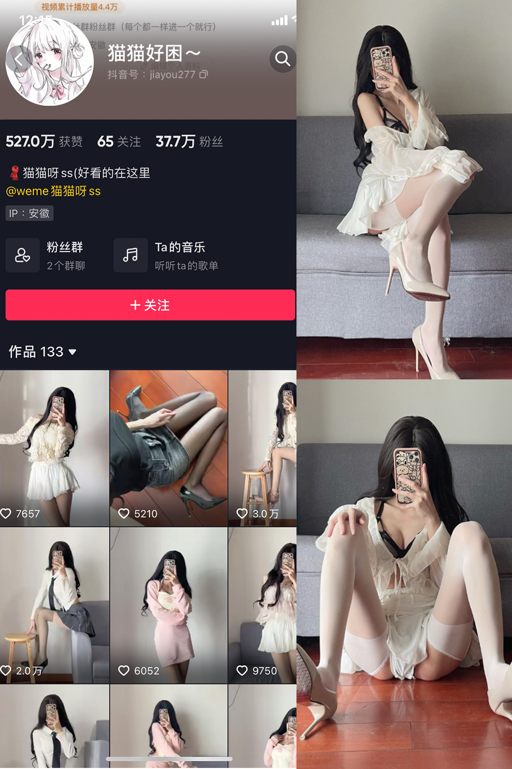 作品:猫猫好困 微密圈 NO.013期预览图 1 作品:猫猫好困 微密圈 NO.013期预览图 1