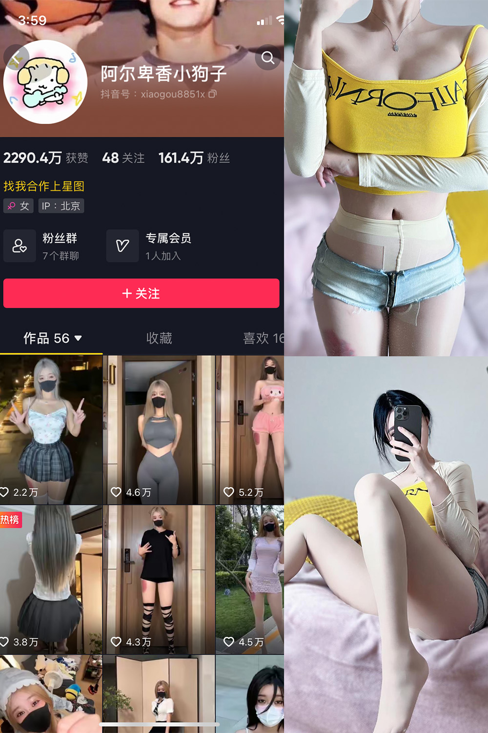 作品:阿尔卑香小狗子 微密圈 NO.032期预览图 1 作品:阿尔卑香小狗子 微密圈 NO.032期预览图 1